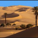 gurun-sahara-14