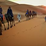 sahara-tour