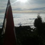 cikurai3