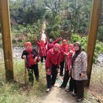 ks ibu1