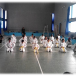9. karate