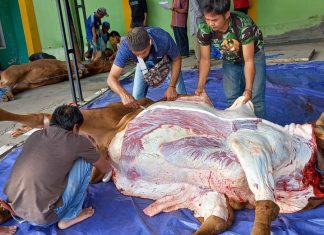 SMKN 1 Garut Perkuat Ukhuwah Islamiyyah dengan Ibadah Kurban