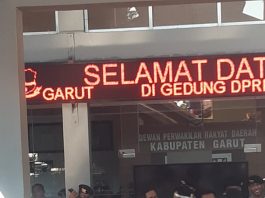 Honorer Adminitrasi di Garut Berharap Afirmasi, Kualifikasi Pendidikan dan Batas Usia