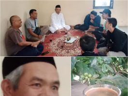 Kopi Pelag Legendaris