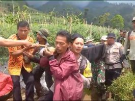 Pendaki yang Hilang di Gunung Cikuray Ditemukan, Polsek Cilawu dan Tim Gabungan Lakukan Proses Evakuasi