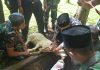 Korem 062/Tn Gelar Sosialisasi Tata Cara Penyembelihan Hewan Qurban Sesuai Syariat dan Protokol Kesehatan