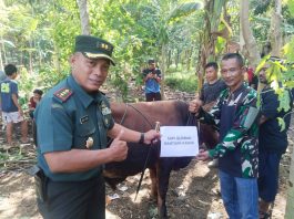 Kasad Berikan Bantuan Satu Ekor Sapi Hewan Qurban Bagi Warga Cibalong