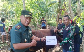 Kasad Berikan Bantuan Satu Ekor Sapi Hewan Qurban Bagi Warga Cibalong