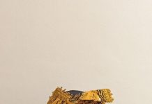 Riana Okta De Ratna Torehkan Prestasi di FORNAS KORPRI 2025