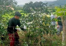 Implementasi Sekolah HEBAT di Situwangi Islamic Boarding School Pesantren Ecology Ramadhan Wujudkan Lingkungan Hejo, Bersih, dan Sehat