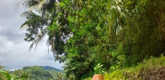 Respons Cepat Bencana, Polri dan Warga Dirikan Jembatan Darurat di Garut