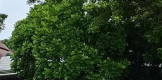 Hj. Kartini Resmi Purnatugas, Terima Surat Penetapan dari Bupati Garut