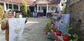 Menuju Sekolah Adiwiyata, SDN 6 Kota Kulon Terus Berbenah