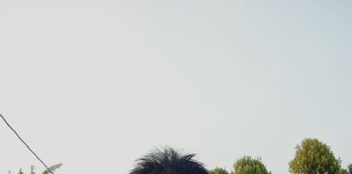 DI ANTARA PENGABDIAN DAN KERINDUAN