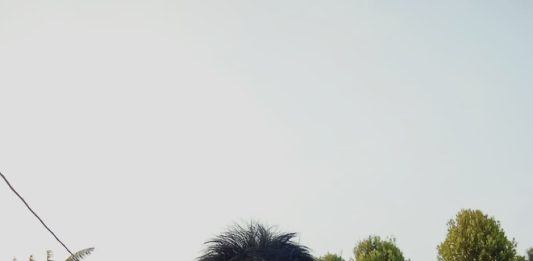 DI ANTARA PENGABDIAN DAN KERINDUAN